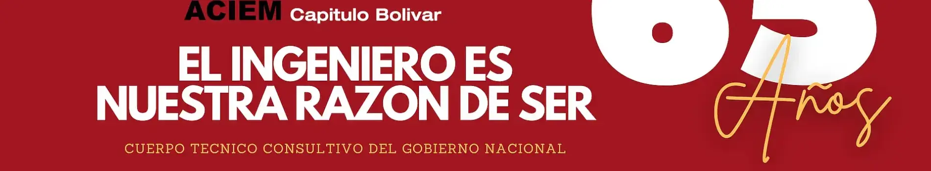 Aciem 65 Años trabajando por la Ingenieria